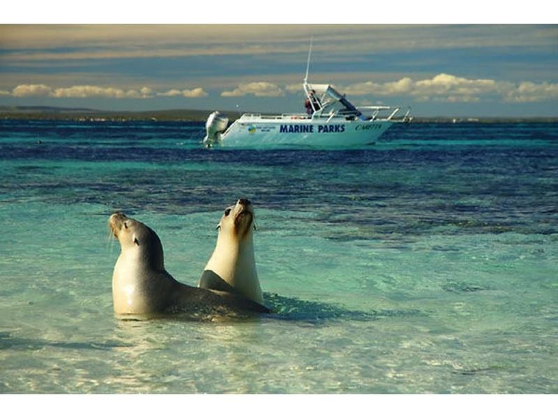 15 Batavia Way, Jurien Bay WA 6516