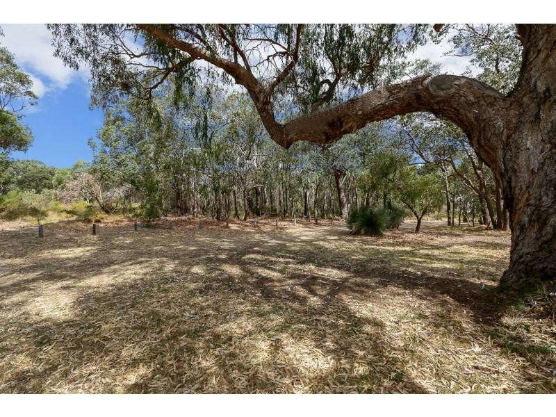 57 Arnott Street, Trigg WA 6029