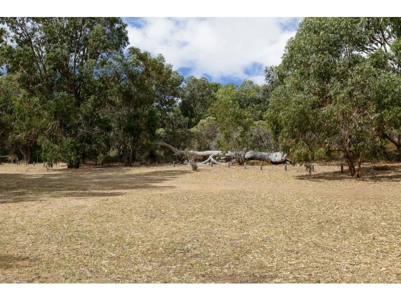 57 Arnott Street, Trigg WA 6029