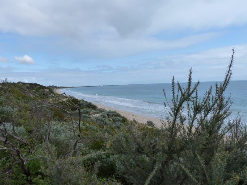 24 Parkland Drive, Warnbro WA 6169