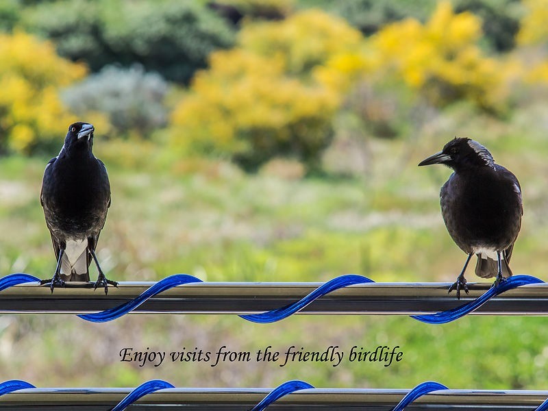 9/2 Long Beach Rise, Port Kennedy WA 6172