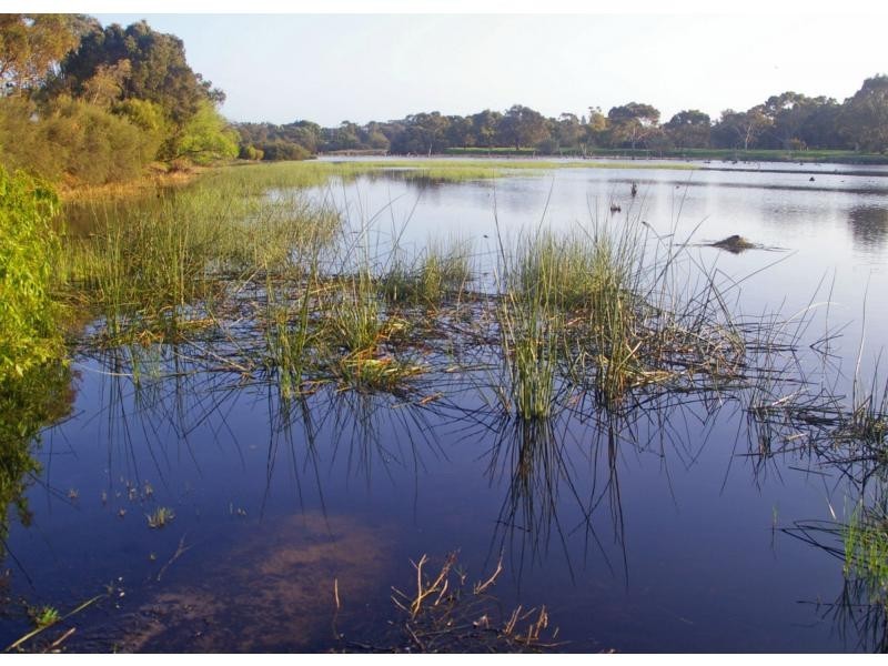 20 Lapsley Road, Claremont WA 6010