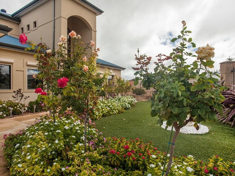 43 Talara Circuit, Mindarie WA 6030