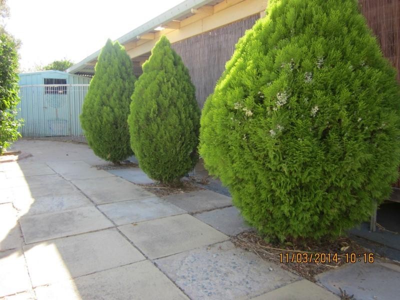 13 Selby Street, Armadale WA 6112