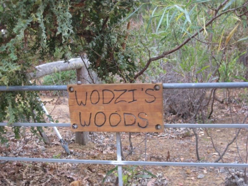 Lot 41 Leschenaultia Drive, Jalbarragup WA 6275