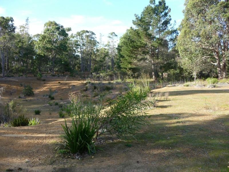 Lot 41 Leschenaultia Drive, Jalbarragup WA 6275
