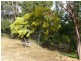 Lot 41 Leschenaultia Drive, Jalbarragup WA 6275