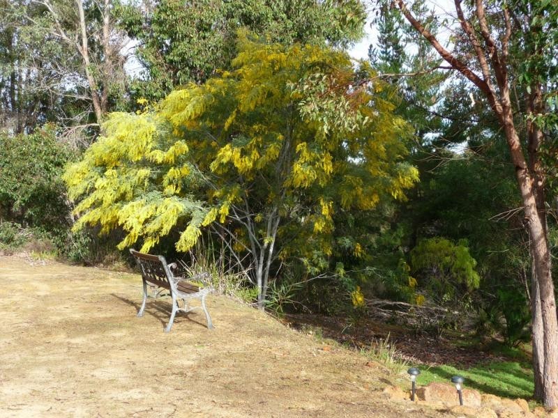 Lot 41 Leschenaultia Drive, Jalbarragup WA 6275