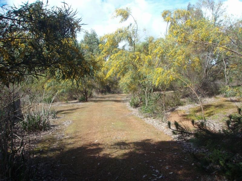 Lot 41 Leschenaultia Drive, Jalbarragup WA 6275