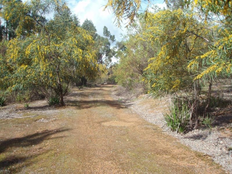Lot 41 Leschenaultia Drive, Jalbarragup WA 6275