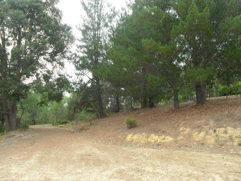 Lot 41 Leschenaultia Drive, Jalbarragup WA 6275
