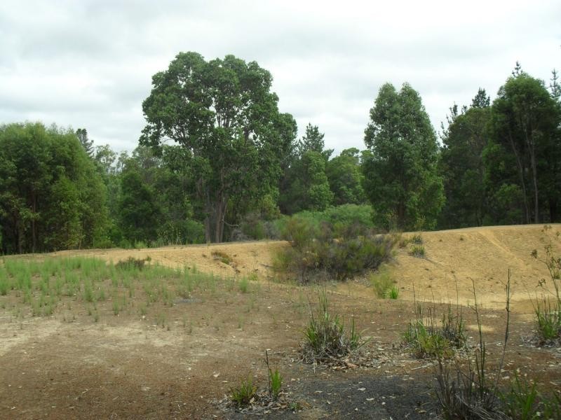 Lot 41 Leschenaultia Drive, Jalbarragup WA 6275
