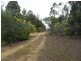 Lot 41 Leschenaultia Drive, Jalbarragup WA 6275