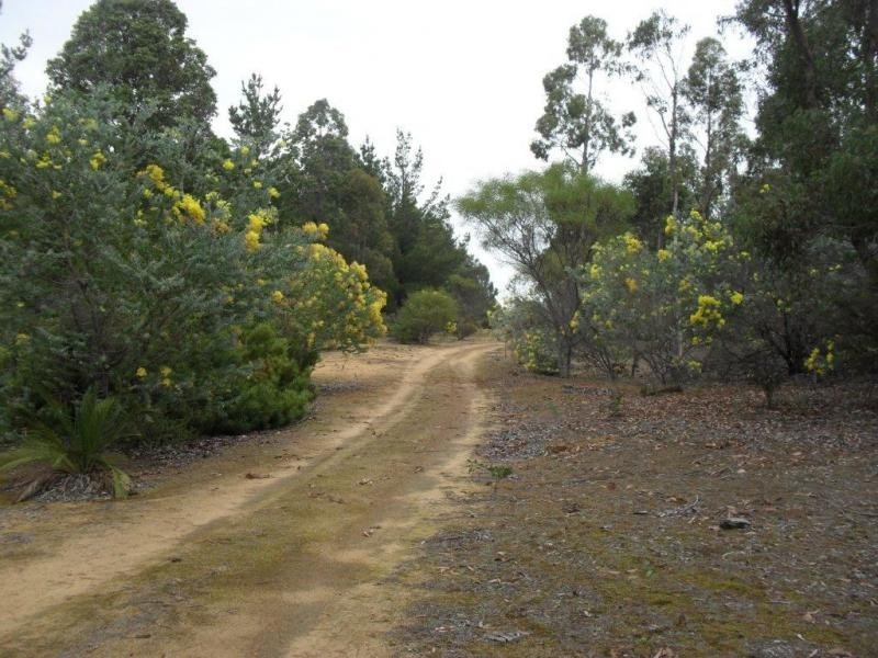 Lot 41 Leschenaultia Drive, Jalbarragup WA 6275