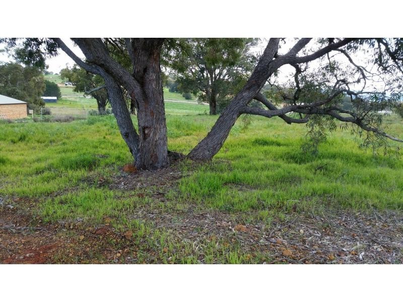 31 Meyer Close, Lower Chittering WA 6084