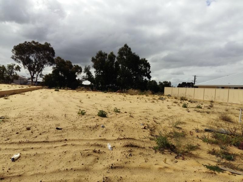 4 Birch Road, Aubin Grove WA 6164