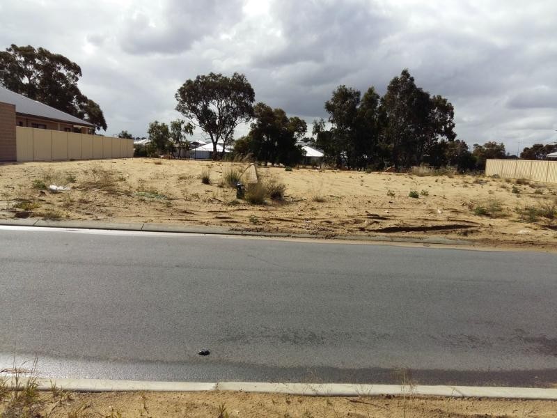 8 Birch Road, Aubin Grove WA 6164