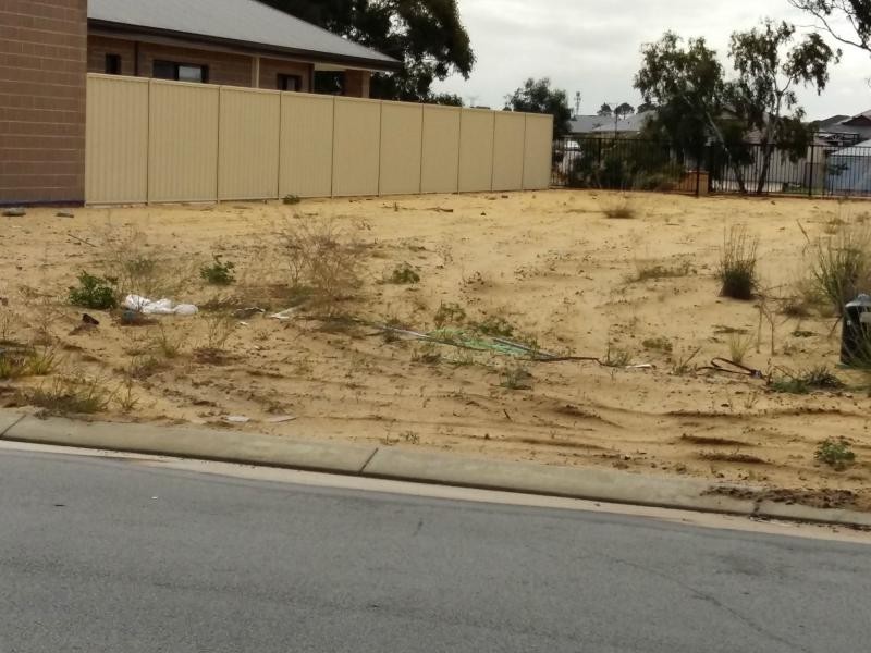 8 Birch Road, Aubin Grove WA 6164