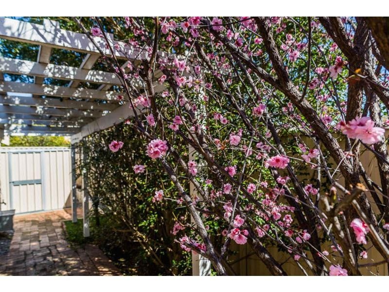 4a Strickland Road, Ardross WA 6153