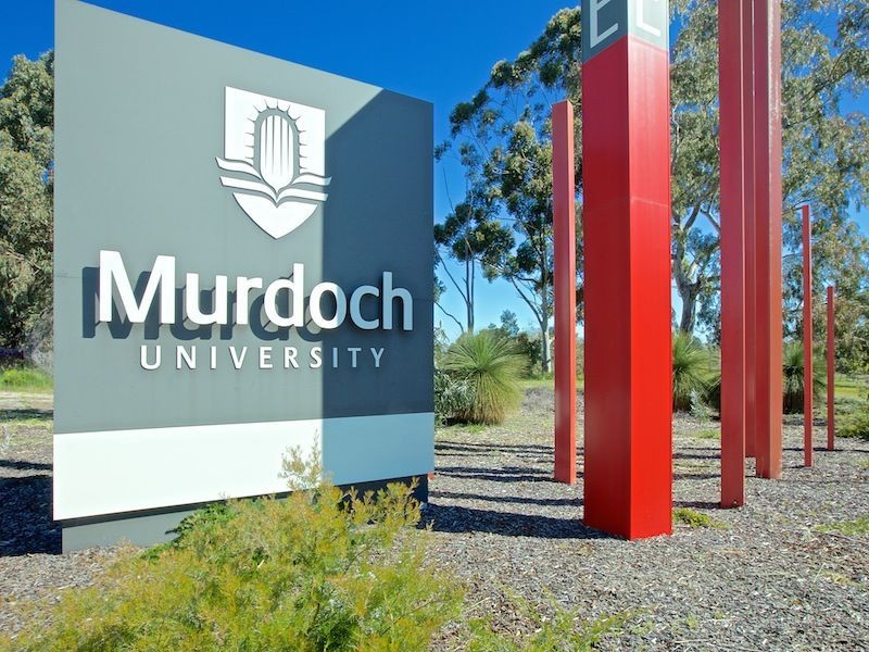 7 Juliet Road, Coolbellup WA 6163