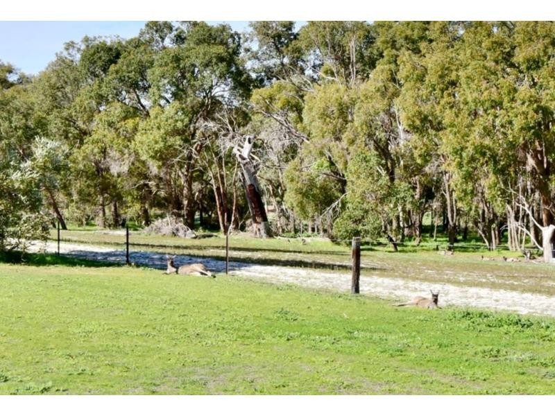 21 Tokay Lane, The Vines WA 6069