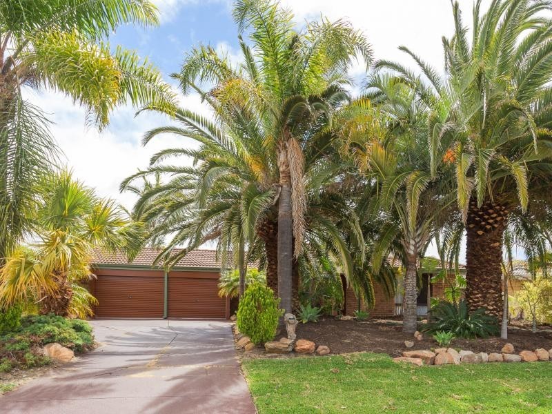 7 Alocasia Close, South Lake WA 6164