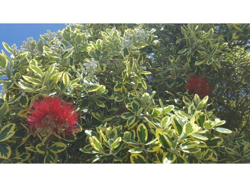 155/1 Williams Way, Seabird WA 6042