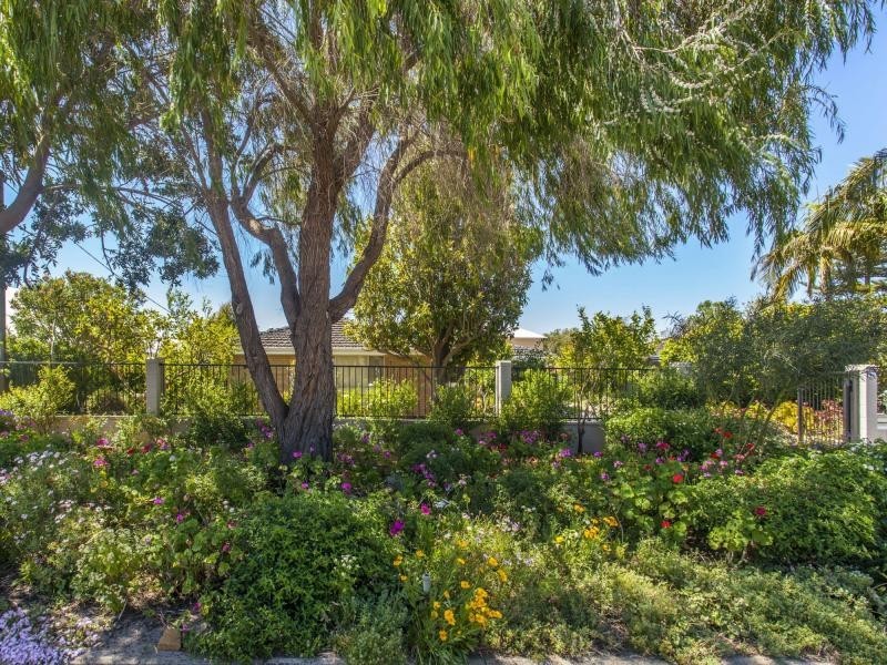 11 Windich Road, Bull Creek WA 6149