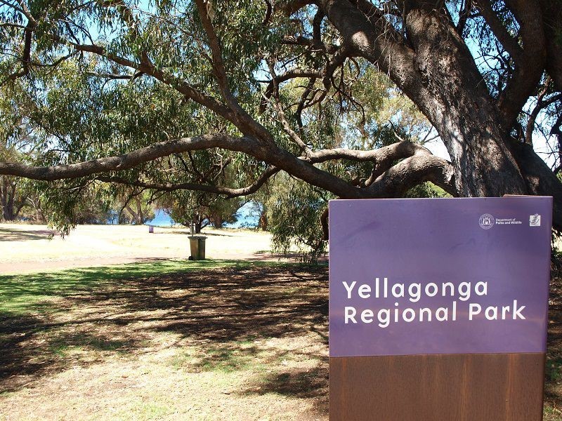 11 Grey-Smith Gardens, Woodvale WA 6026