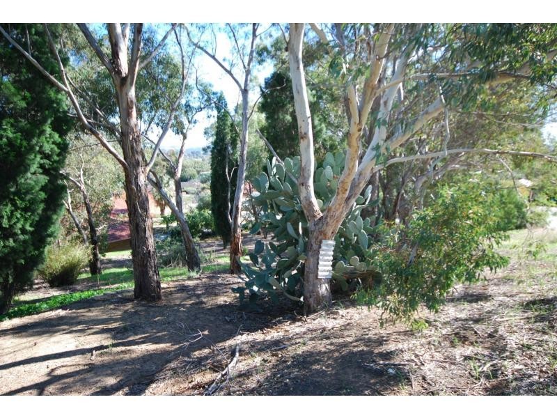 7 Blackwood Drive, Mount Nasura WA 6112