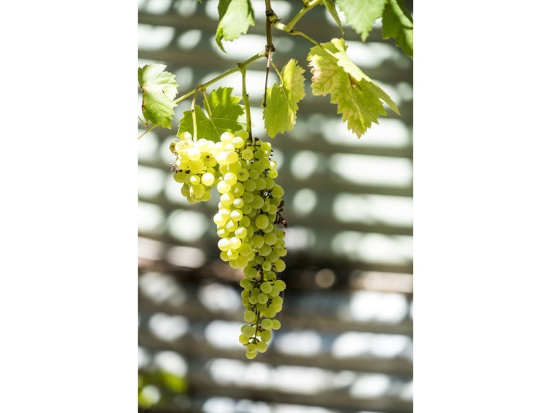 58 Angorra Road, Mount Nasura WA 6112