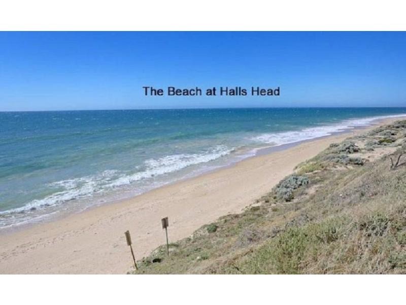 18 Calytrix Way, Halls Head WA 6210