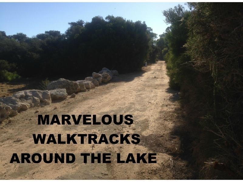 34 Ingrilli Court, Munster WA 6166