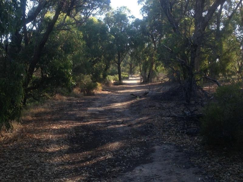 34 Ingrilli Court, Munster WA 6166