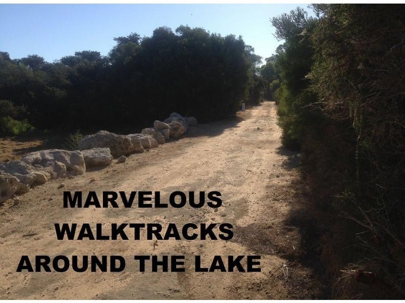 20 Ingrilli Court, Munster WA 6166