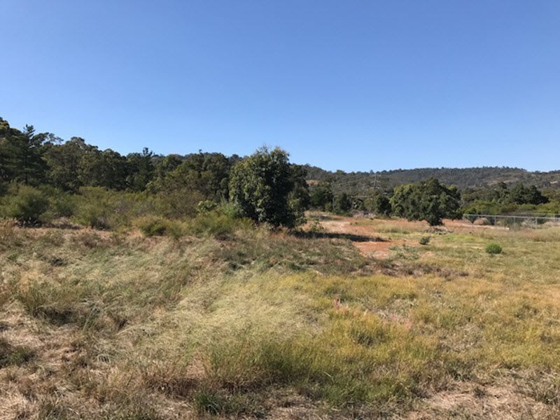 216 Holmes Road, WA, Forrestfield WA 6058