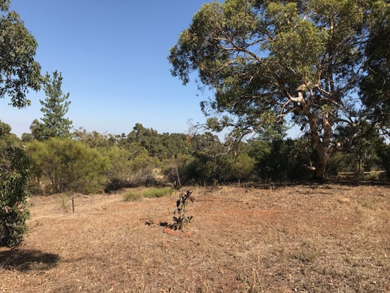 216 Holmes Road, WA, Forrestfield WA 6058