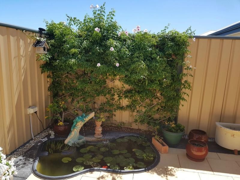 7 Finke Bend, Yanchep WA 6035