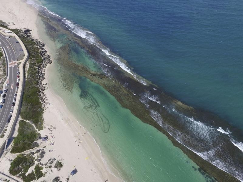 7 Finke Bend, Yanchep WA 6035