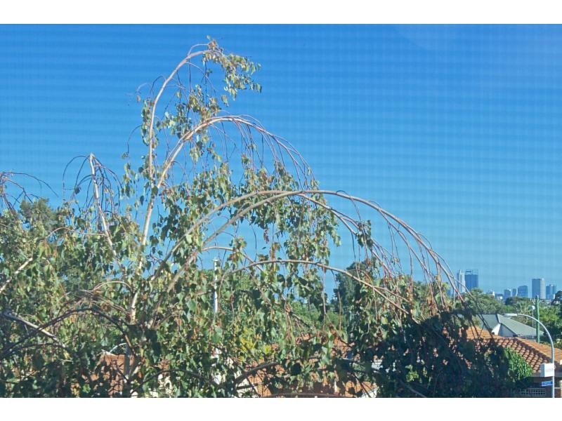 61/21 Dianella Drive, Dianella WA 6059