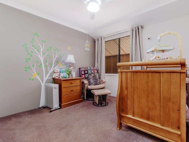 19 Haldane Link, Baldivis WA 6171