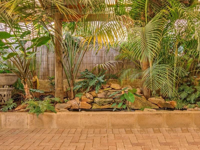 19 Haldane Link, Baldivis WA 6171