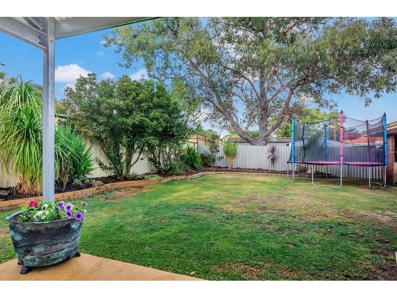 22 Dallas Crescent, Wanneroo WA 6065