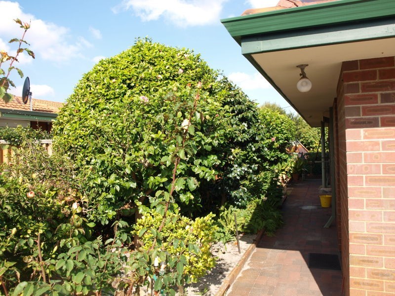 9 Myall Place, Dianella WA 6059