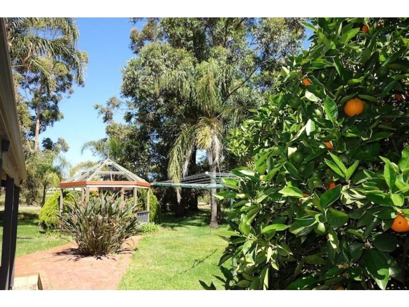 91 Reservoir Road, Orange Grove WA 6109