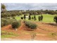 39 Ferguson Road, Coondle WA 6566