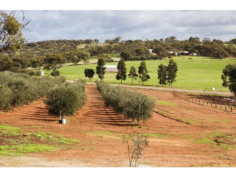 39 Ferguson Road, Coondle WA 6566