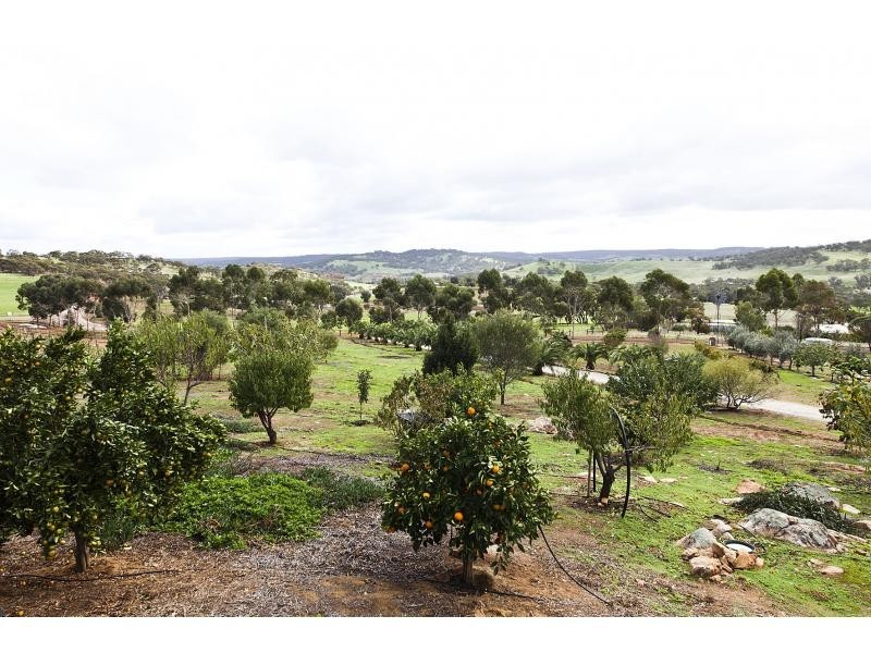 39 Ferguson Road, Coondle WA 6566