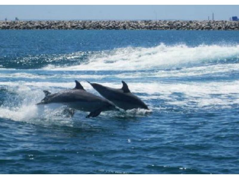 121 Parkin Street, Rockingham WA 6168