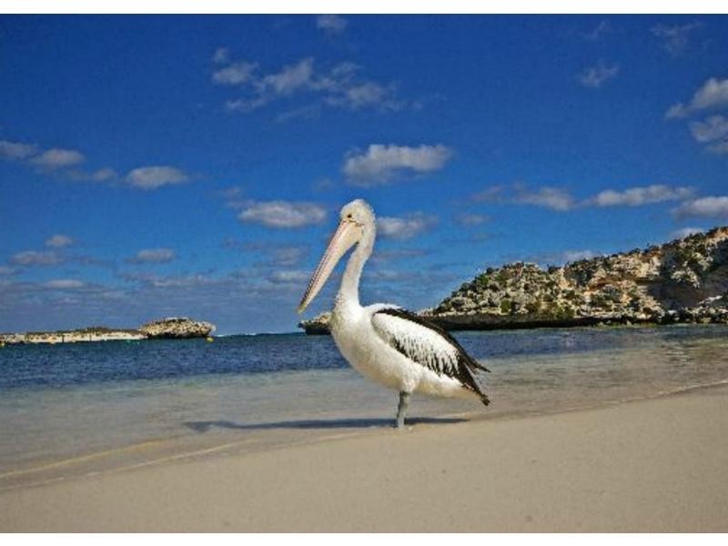 121 Parkin Street, Rockingham WA 6168